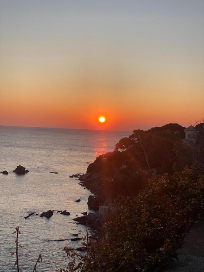Bogliasco Wine Loft Apartment Екстериор снимка